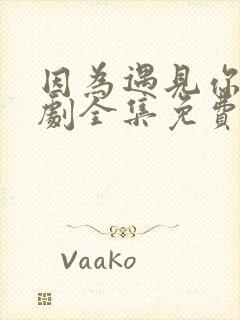 因为遇见你电视剧全集免费播放封面