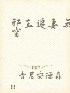 邪王追妻 无弹窗