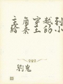 主角穿越到秦国给秦王的小说