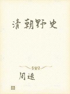 清朝野史封面