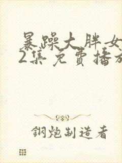 暴躁大胖女人42集免费播放电视剧