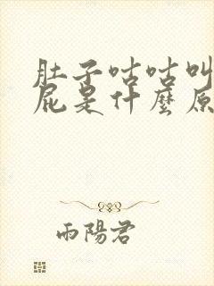 肚子咕咕叫爱放屁是什么原因