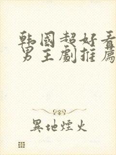 韩国超好看的双男主剧推荐