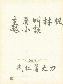 主角叫林枫的穿越小说