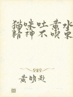 猫咪吐黄水没有精神不吃东西封面