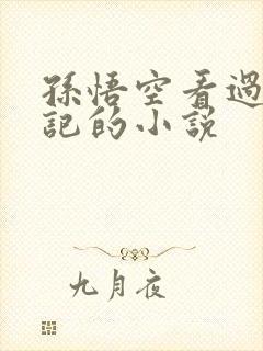 孙悟空看过西游记的小说封面