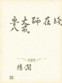 鲁大师在线八戒八戒封面