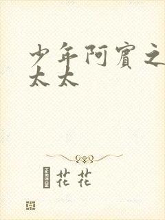 少年阿宾之房东太太