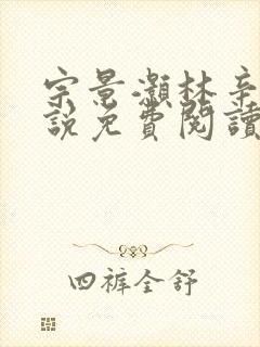 宗景灏林辛言小说免费阅读大结局封面