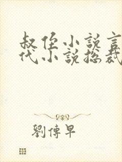 叔侄小说言情现代小说总裁