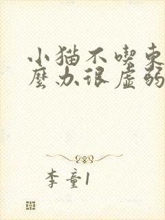 小猫不吃东西怎么办很虚弱