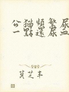 公猫频繁尿只尿一点还尿血封面