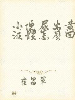 小便尿出黄粘稠液体怎么回事