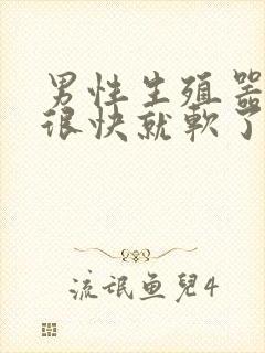 男性生殖器勃起很快就软了