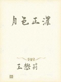 月色正浓封面