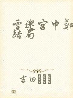 雪迷宫中郑南的结局