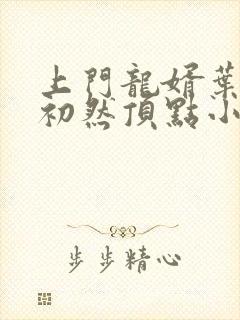 上门龙婿叶辰萧初然顶点小说