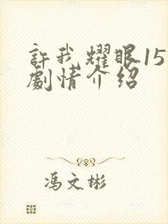 许我耀眼15集剧情介绍