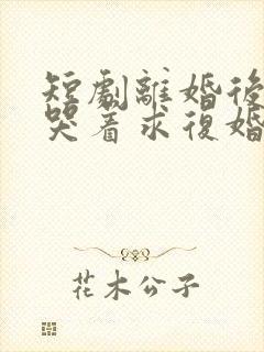 短剧离婚后前夫哭着求复婚完整版