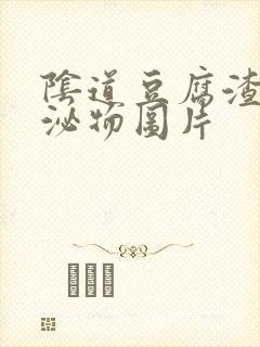 阴道豆腐渣样分泌物图片