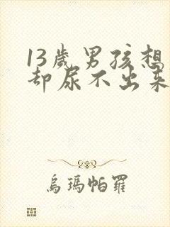 13岁男孩想尿却尿不出来