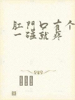 肛门口有个疙瘩一碰就疼封面