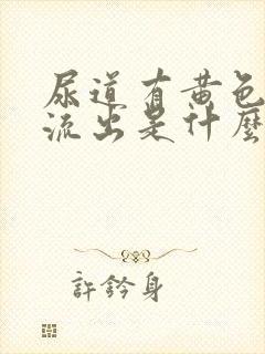 尿道有黄色液体流出是什么