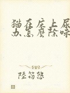 猫在床上尿怎么办怎么除味