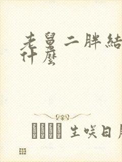 老舅二胖结局是什么封面
