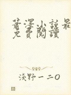 萧泽小说最新版免费阅读封面