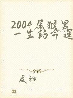 2004属猴男一生的命运如何封面