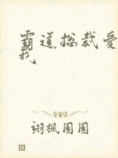 霸道总裁爱 上我