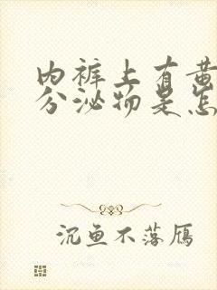 内裤上有黄黄的分泌物是怎么回事图片