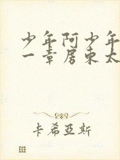 少年阿少年宾第一章房东太太封面