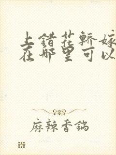 上错花轿嫁对郎在哪里可以看封面