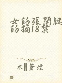 女的张开腿让男的捅18禁