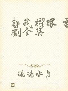 许我耀眼 电视剧全集