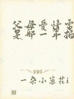 父母爱情电视剧是哪一年拍摄的