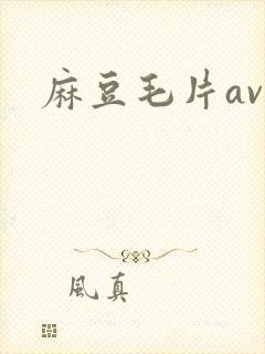 麻豆毛片av