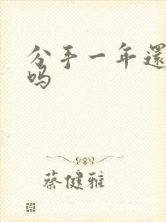 分手一年还复合吗