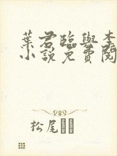 叶君临与李子柒小说免费阅读封面