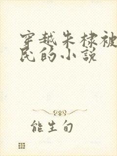 穿越朱棣被贬农民的小说