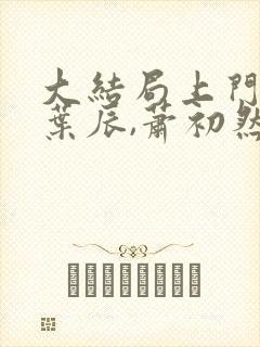 大结局上门龙婿叶辰,萧初然封面