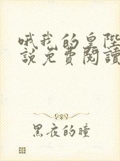 哦我的皇陛下小说免费阅读封面