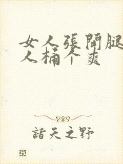 女人张开腿让男人桶个爽封面