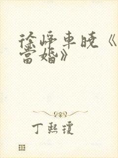 徐峥车晓《大男当婚》