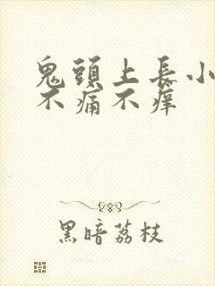 鬼头上长小肉粒不痛不痒