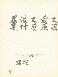 尿液又黄又浑浊是什么原因