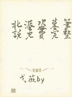 北派盗墓笔记小说免费完整在线阅读封面