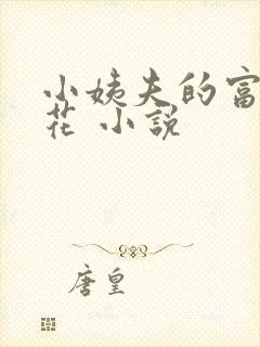 小姨夫的富贵娇花 小说封面